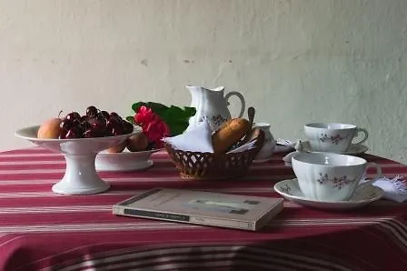 Camera Con Vista 펜션 펠라